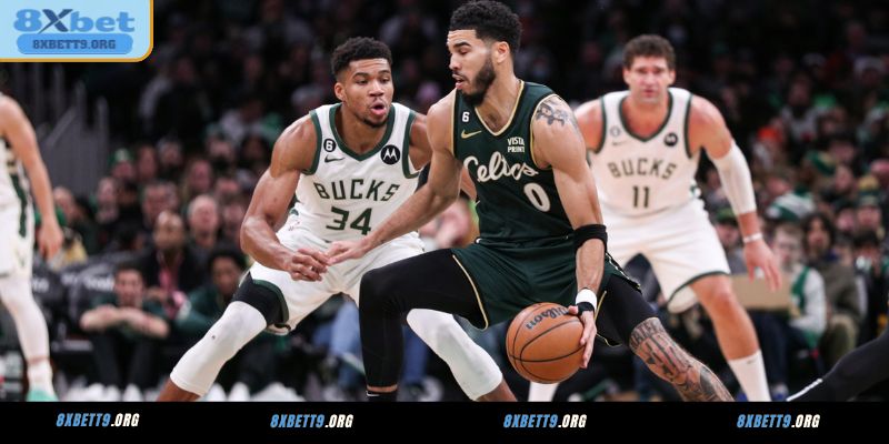 Các loại cược thường gặp khi cá độ bóng rổ 8XBET